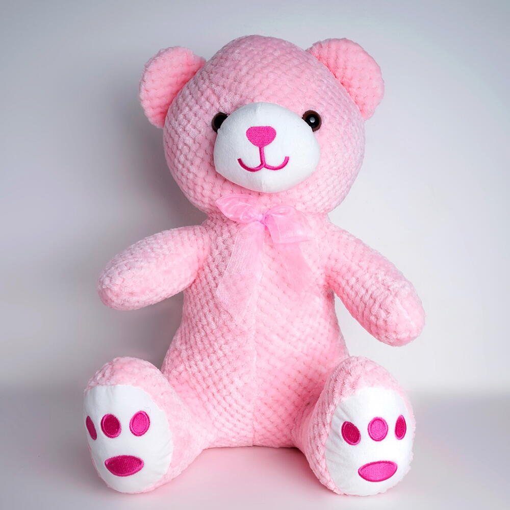 Bear Plush Toy